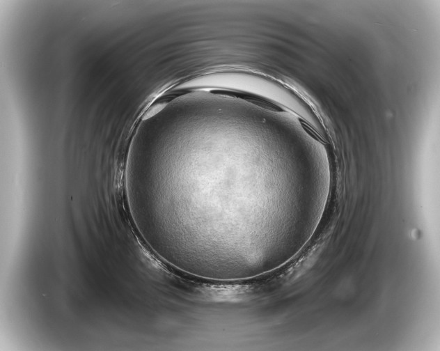 X0000085301193200703161428