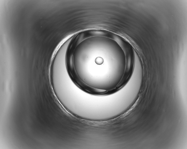 X0000085301196200703161428