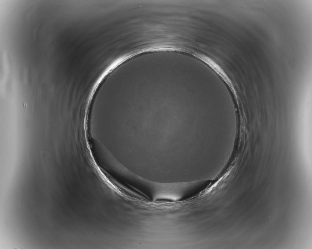 X0000085301197200703161428