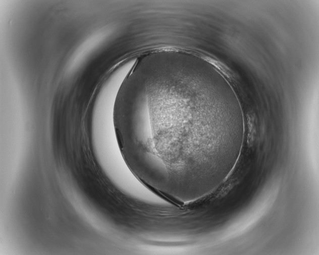 X0000085301198200703161428