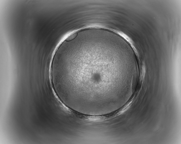 X0000085301199200703161428