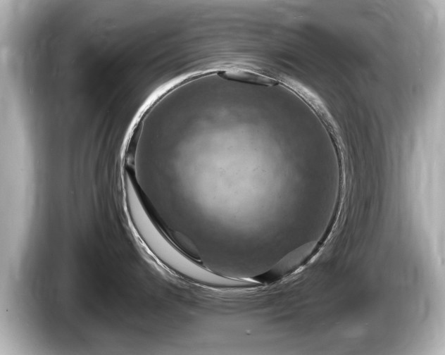 X0000085301200200703161428