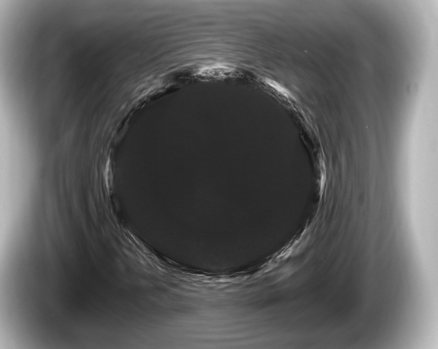 X0000085301202200703161427