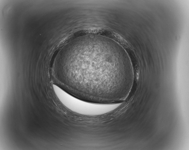 X0000085301204200703161427