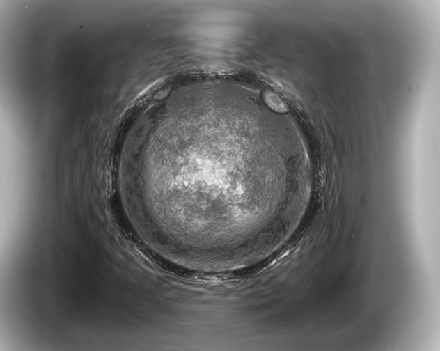 X0000085301205200703161428