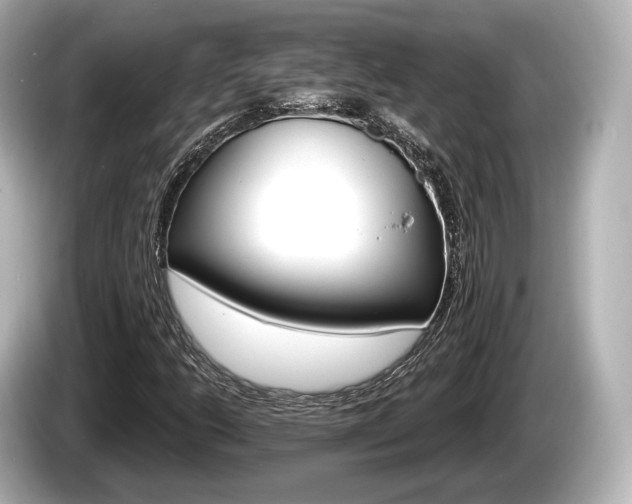 X0000085301206200703161428