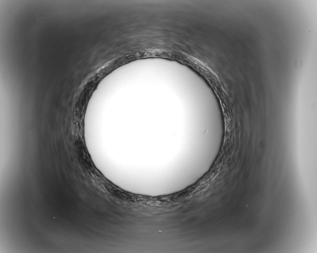 X0000085301207200703161428