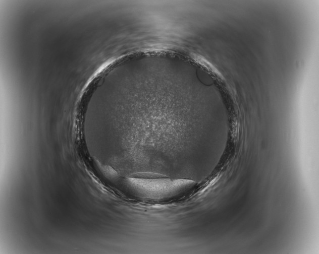 X0000085301208200703161428