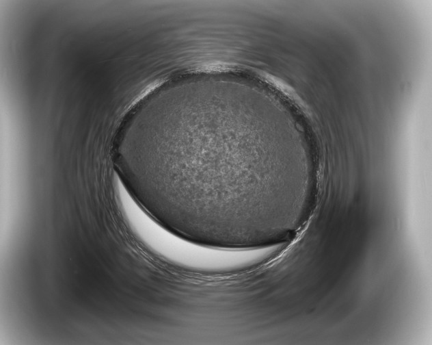 X0000085301209200703161428