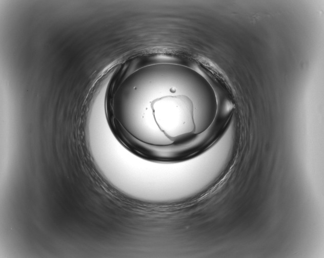 X0000085301210200703161428