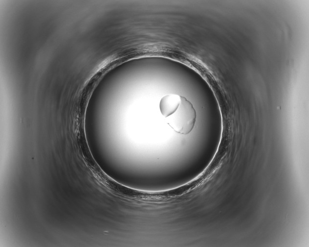 X0000085301211200703161428