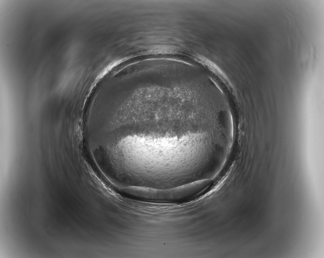 X0000085301212200703161428