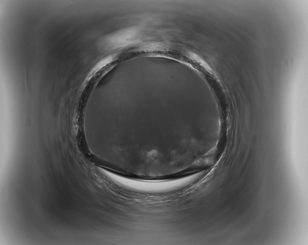 X0000085301213200703161428