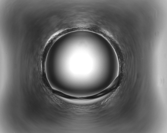 X0000085301214200703161428