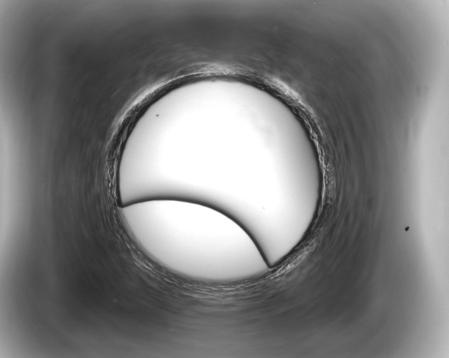 X0000085301215200703161428