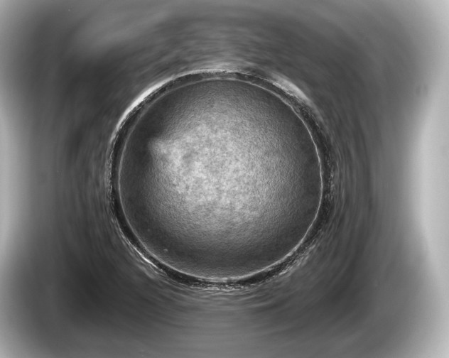 X0000085301216200703161428