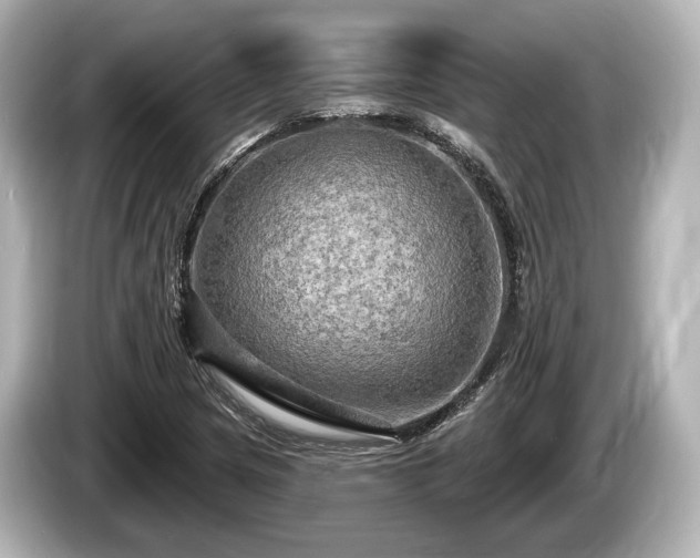 X0000085301217200703161428