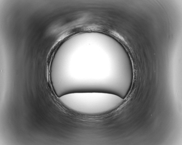 X0000085301219200703161428