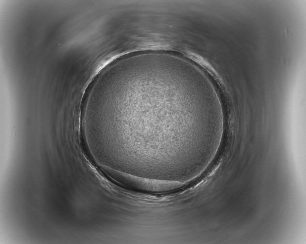 X0000085301220200703161428