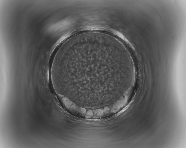 X0000085301221200703161428