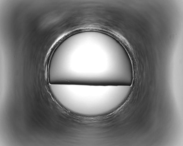 X0000085301224200703161428