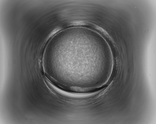 X0000085301225200703161428