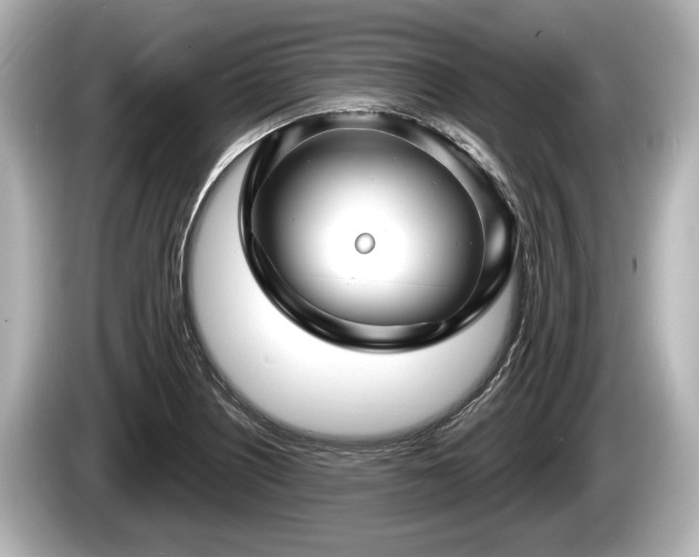 X0000085301226200703161428