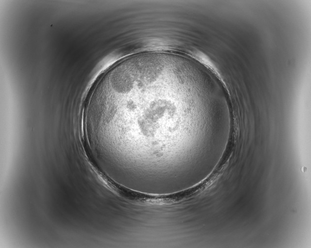 X0000085301227200703161428