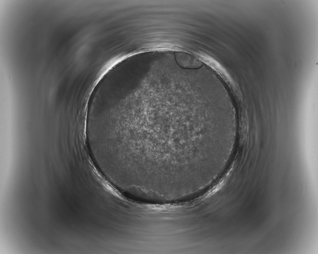 X0000085301228200703161428