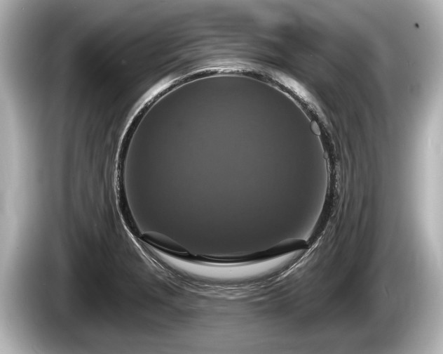 X0000085301229200703161428