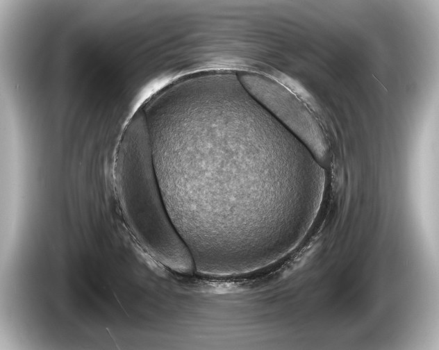 X0000085301230200703161428