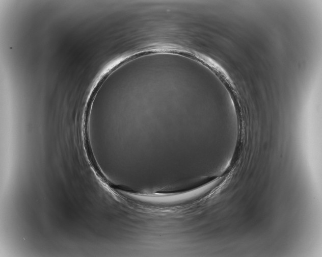 X0000085301231200703161428