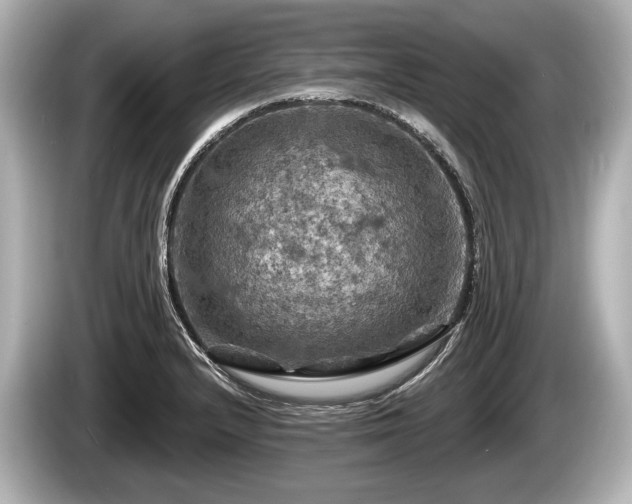 X0000085301232200703161428