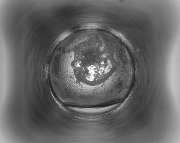 X0000085301233200703161428