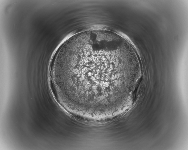 X0000085301235200703161428