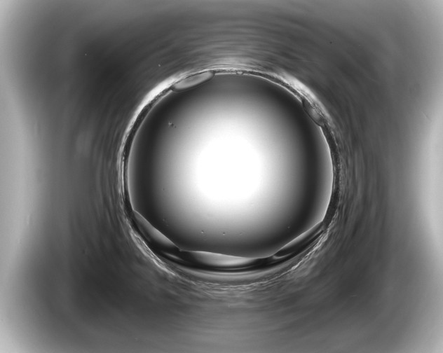 X0000085301238200703161428