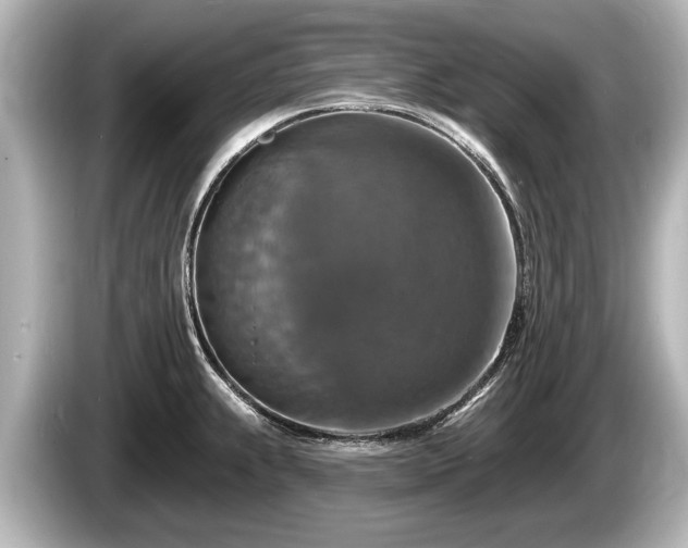 X0000085301239200703161428