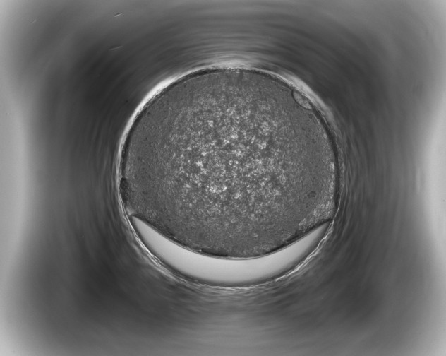 X0000085301240200703161428