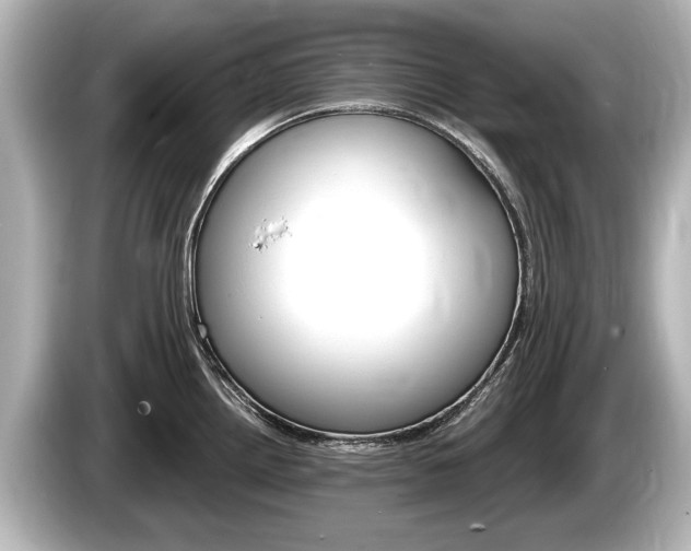 X0000085301242200703161428