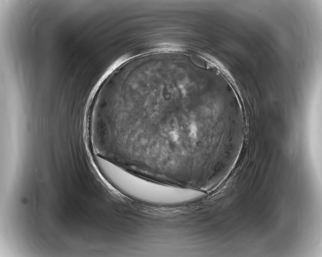 X0000085301243200703161428