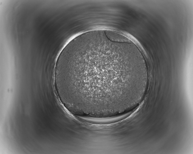 X0000085301244200703161428