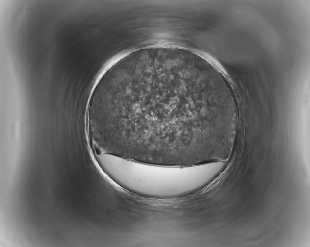 X0000085301247200703161428