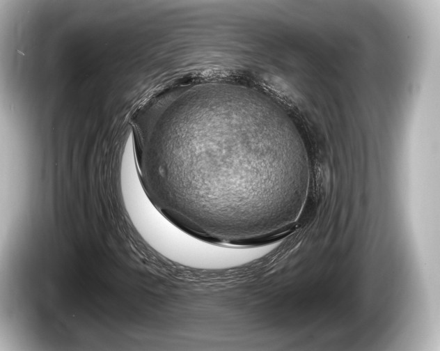 X0000085301250200703161427