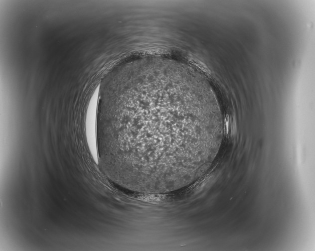 X0000085301251200703161427