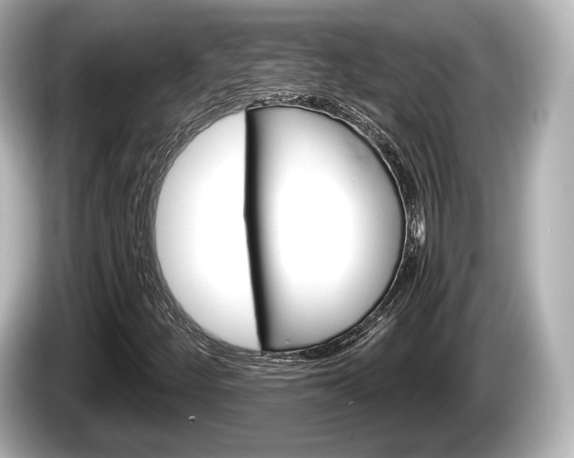 X0000085301252200703161427