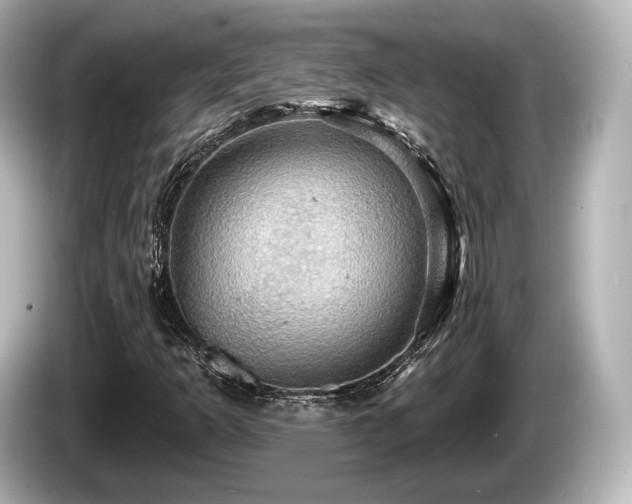 X0000085301253200703161427