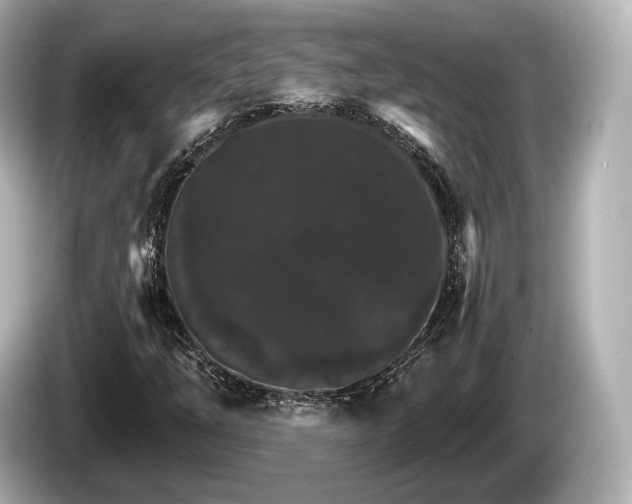 X0000085301254200703161427