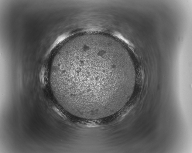 X0000085301255200703161427