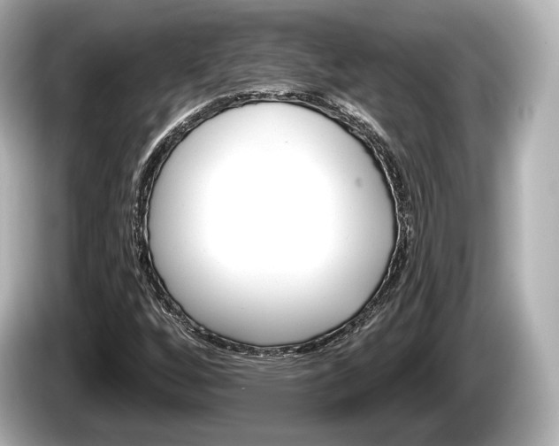 X0000085301256200703161427