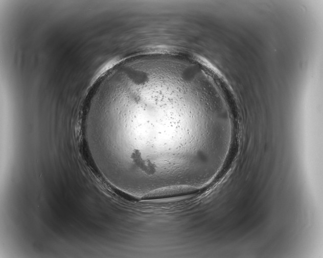 X0000085301259200703161427